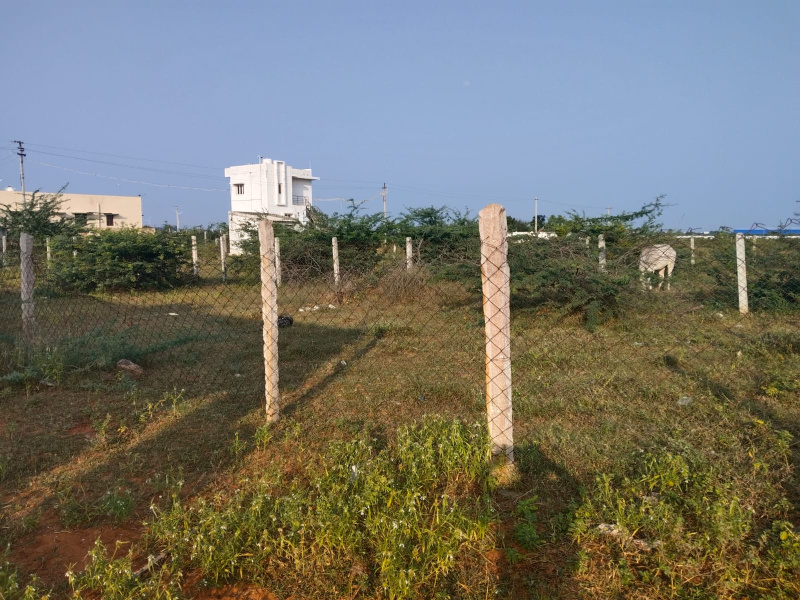  1800 Sq.ft. Residential Plot for Sale in Sankaraperi, Thoothukudi