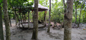  Residential Plot for Sale in Birnagar, Nadia