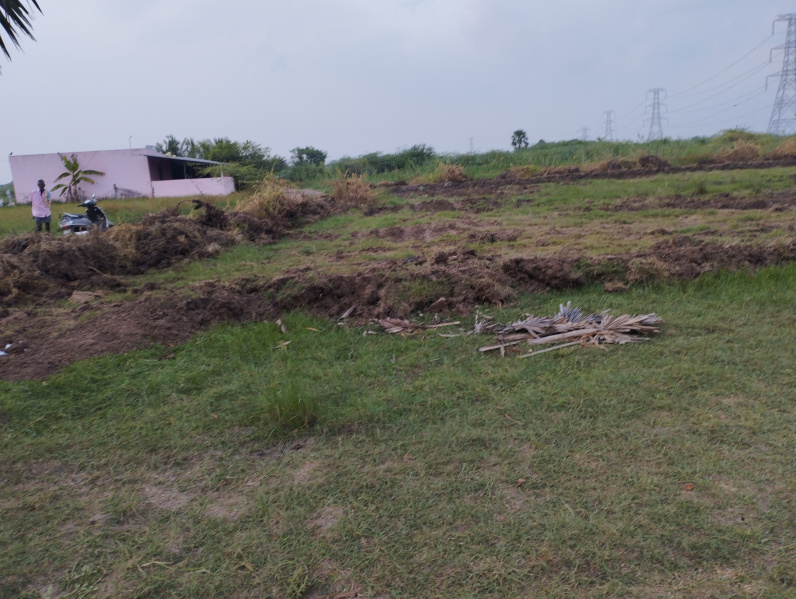 Agricultural Land 20 Acre for Sale in Walajabad, Chennai