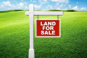 Residential Plot for Sale in Bilasi Town, Deoghar