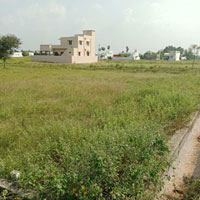  Residential Plot for Sale in Thanthoni, Karur