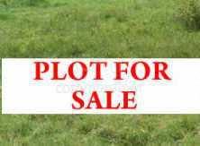  Residential Plot for Sale in South karaundiya, Sidhi, Sidhi