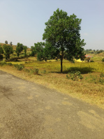  Agricultural Land for Sale in Jawhar, Thane
