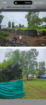  Agricultural Land for Sale in Nandore, Palghar