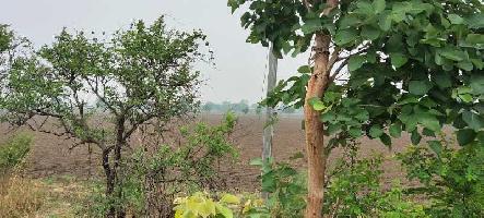  Agricultural Land for Sale in Dabhoi-Sinor Road, Vadodara