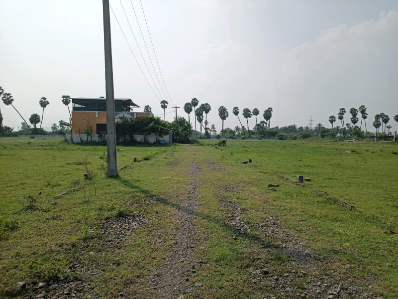  Residential Plot 1200 Sq.ft. for Sale in Maiyur, Chengalpattu