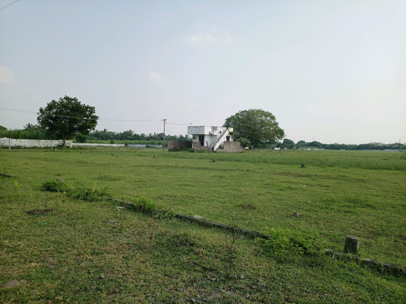  Residential Plot 1200 Sq.ft. for Sale in Maiyur, Chengalpattu