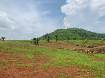  Agricultural Land for Sale in Bhor, Pune