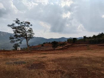  Residential Plot for Sale in Velhe, Pune