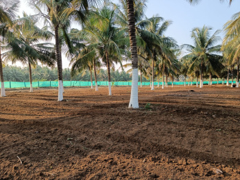  Agricultural Land for Sale in Sulur, Coimbatore