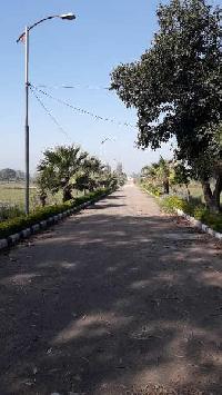  Residential Plot for Sale in Hoshiarpur, Hoshiarpur