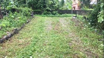  Residential Plot for Sale in Thamarassery, Kozhikode