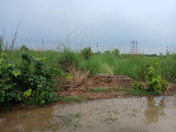  Residential Plot for Sale in Sector 25, Rohtak