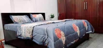 3 BHK House for Rent in Sector 10 Chandigarh