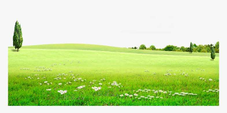 Agricultural Land 4 Acre for Sale in Kharar Landran Road, Chandigarh