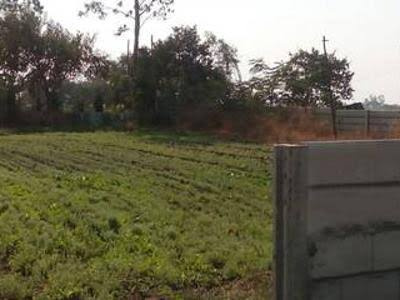 Agricultural Land 8 Acre for Sale in Patiala Road, Chandigarh