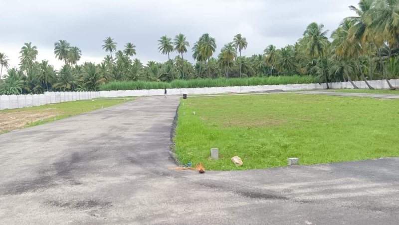  Residential Plot 1200 Sq.ft. for Sale in Rangampalayam, Erode