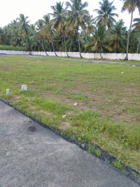  Residential Plot 1200 Sq.ft. for Sale in Rangampalayam, Erode