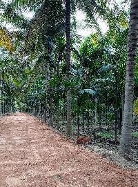  Agricultural Land for Sale in Thondamuthur, Coimbatore