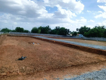  Residential Plot for Sale in Shanmuga Nagar, Tiruchirappalli