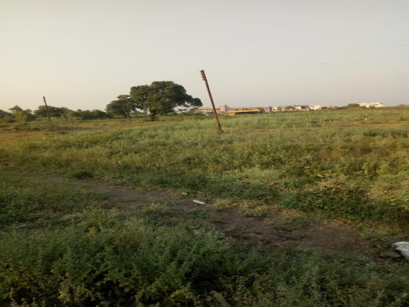  Residential Plot 1000 Sq.ft. for Sale in Hingna, Nagpur