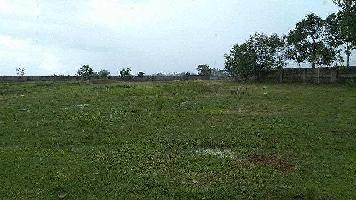  Agricultural Land for Rent in Lagda, Purulia