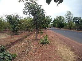  Commercial Land for Sale in katni, Katni-Shadol Road, Katni