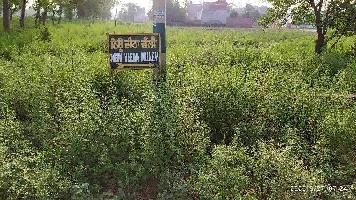  Residential Plot for Sale in Salwara, Hoshiarpur