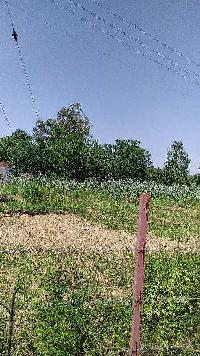  Agricultural Land for Sale in 08 km from hoshiyarpur, Hoshiarpur, Hoshiarpur