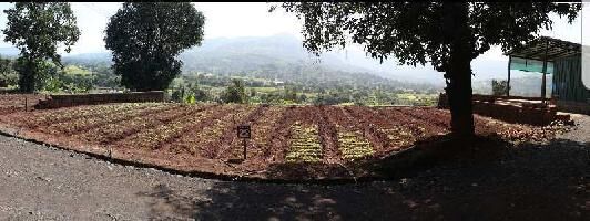  Commercial Land for Sale in Mulshi, Pune