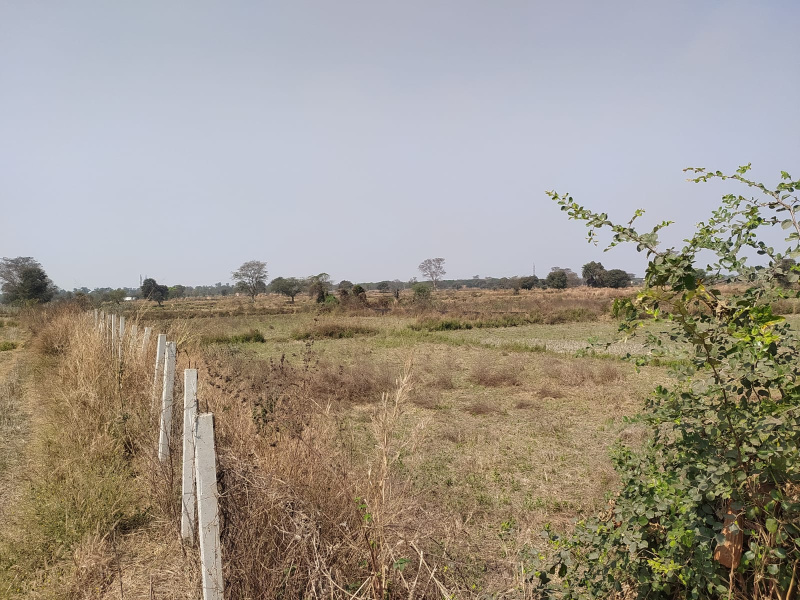 2 Acre Agricultural/Farm Land for Sale in Utai, Durg
