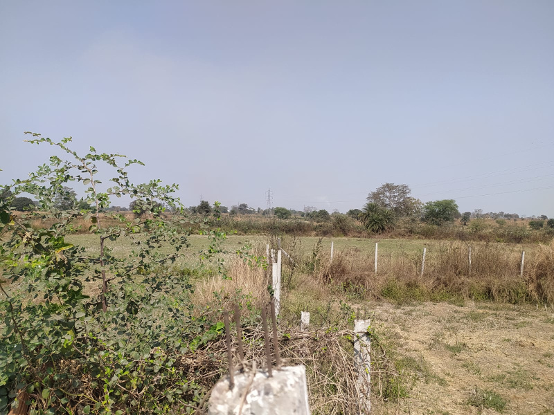  2 Acre Agricultural/Farm Land for Sale in Utai, Durg