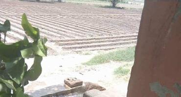  Agricultural Land for Sale in Rasulpur Village - Near Jamna Ghat, Sonipat, Sonipat