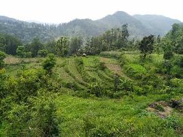  Agricultural Land for Sale in Ring Road, Dehradun
