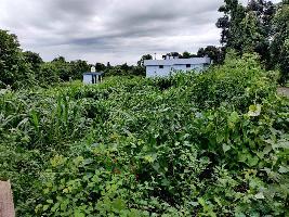  Agricultural Land for Sale in Main Road, Dehradun