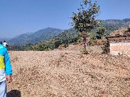  Agricultural Land for Sale in Bhauwala, Dehradun
