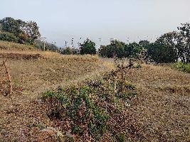  Agricultural Land for Sale in Rajpur Road, Dehradun