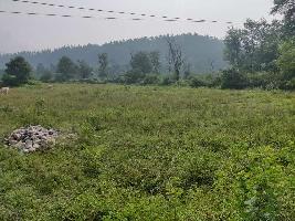  Commercial Land for Sale in Dhanaulti, Tehri Garhwal