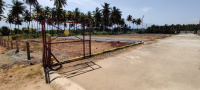  Residential Plot for Sale in Cumbum, Theni