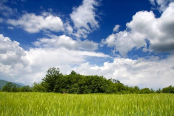  Industrial Land for Rent in Kharadi, Pune