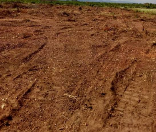  Agricultural Land 43000 Sq.ft. for Sale in Koregaon Park, Pune