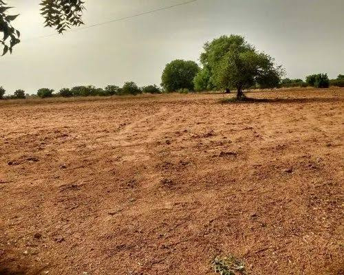  Agricultural Land 43000 Sq.ft. for Sale in Koregaon Park, Pune