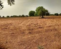 Commercial Land 26000 Sq.ft. for Sale in Hinjewadi Phase 1, Pune