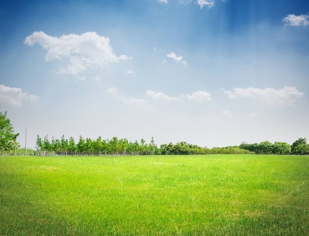  Industrial Land 261360 Sq.ft. for Sale in Chakan, Pune