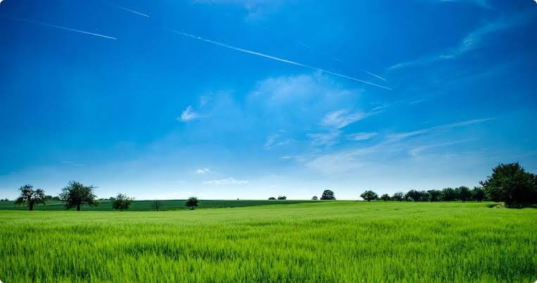  Residential Plot 40000 Sq.ft. for Sale in Chandkhed, Pune