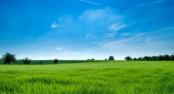  Residential Plot for Sale in Uruli Kanchan, Pune