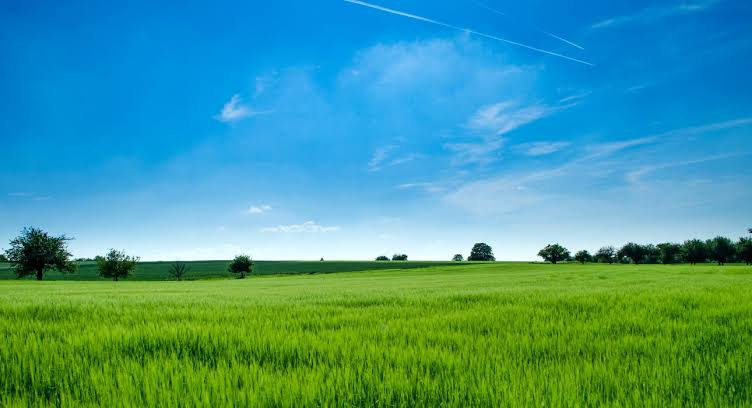  84000 Sq.ft. Residential Plot for Sale in Awhalwadi, Pune