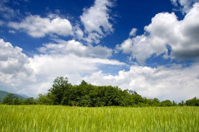  84000 Sq.ft. Residential Plot for Sale in Awhalwadi, Pune