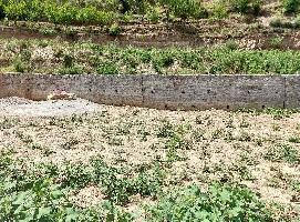  Residential Plot for Sale in Bajaura Village, Kullu