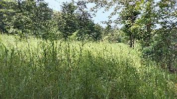  Commercial Land for Sale in Poladpur, Raigad